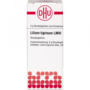 LILIUM TIGRINUM LM VI Globuli LILIUM TIGRINUM LM VI Globuli