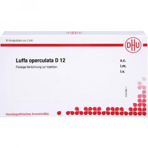 LUFFA OPERCULATA D 12 Ampullen