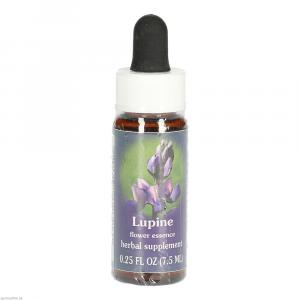 LUPINE FES kalifornische Blütenessenz Tropfen