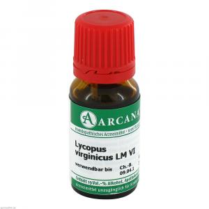 LYCOPUS VIRGINICUS LM 6 Dilution