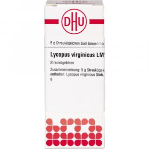 LYCOPUS VIRGINICUS LM VI Globuli