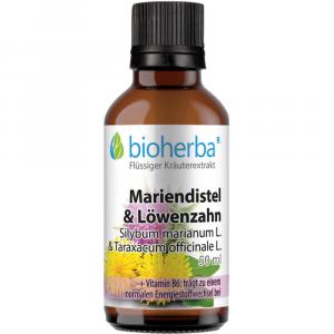 MARIENDISTEL & LÖWENZAHN Tinktur