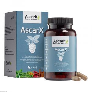 MAULBEEREN Diabetes Kompl Ascarx Kapseln