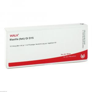 MAXILLA feti GL D 15 Ampullen