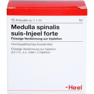 MEDULLA SPINALIS suis Injeel forte Ampullen