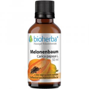 MELONENBAUM Carica papaya L.Tinktur