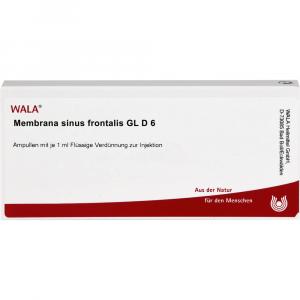 MEMBRANA sinus frontalis GL D 6 Ampullen