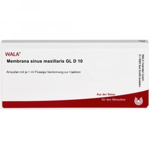 MEMBRANA sinus maxillaris GL D 10 Ampullen