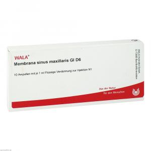 MEMBRANA sinus maxillaris GL D 6 Ampullen