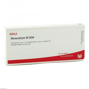 MESENCHYM GL D 30 Ampullen