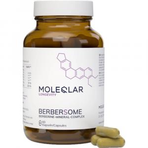 MOLEQLAR Berberine Mineral-Complex Kapseln