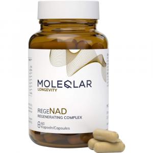 MOLEQLAR LONGEVITY regeNAD Kapseln
