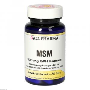 MSM 500 mg GPH Kapseln