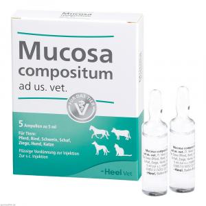 MUCOSA compositum ad us.vet.Ampullen