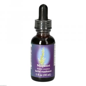 MUGWORT FES kalifornische Blütenessenz Tropfen