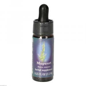 MUGWORT FES kalifornische Blütenessenz Tropfen