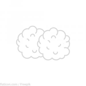 MULLTUPFER 20x20 cm pflaumengroß unsteril