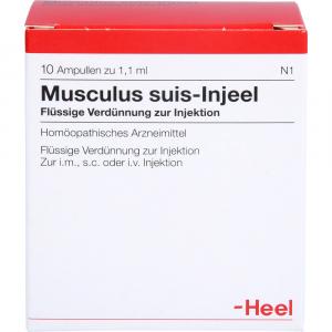 MUSCULUS SUIS Injeel Ampullen