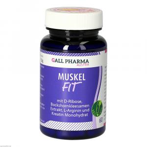 MUSKEL-FIT GPH Kapseln