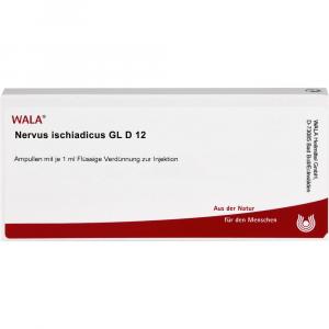 NERVUS ISCHIADICUS GL D 12 Ampullen
