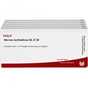 NERVUS ISCHIADICUS GL D 30 Ampullen