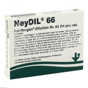 NEYDIL Nr.66 Revitorgan Dil.D 4 pro Ampullen vet.