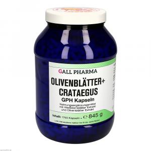 OLIVENBLÄTTER+Crataegus GPH Kapseln