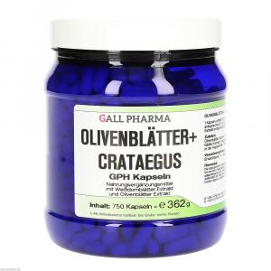 OLIVENBLÄTTER+Crataegus GPH Kapseln