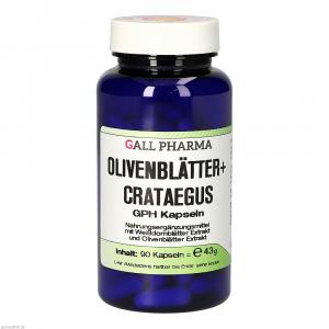 OLIVENBLÄTTER+Crataegus GPH Kapseln