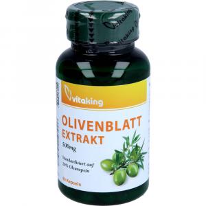 OLIVENBLÄTTER Extrakt 500 mg Kapseln