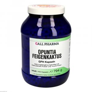 OPUNTIA FEIGENKAKTUS Kapseln