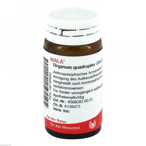 ORGANUM quadruplex Globuli