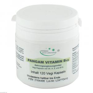PANGAM Vitamin B15 Kapseln