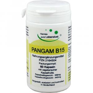 PANGAM Vitamin B15 Kapseln