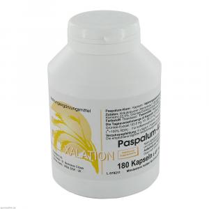 PASPALUM Korn Kapseln