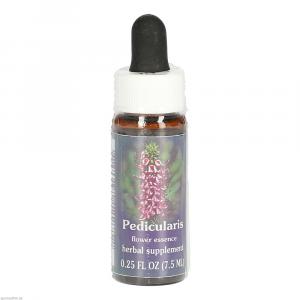 PEDICULARIS FES kalifornische Blütenessenz Tropfen