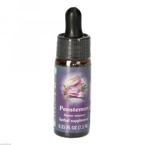 PENSTEMON FES kalifornische Blütenessenz Tropfen