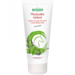 PFERDESALBE kühlend