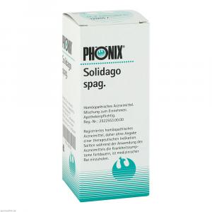 PHÖNIX SOLIDAGO spag.Mischung