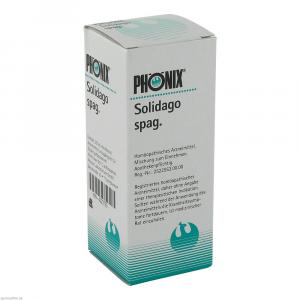 PHÖNIX SOLIDAGO spag.Mischung