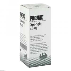 PHÖNIX SPONGIA spag.Mischung