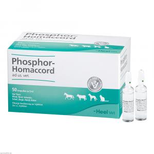 PHOSPHOR HOMACCORD ad us.vet.Ampullen