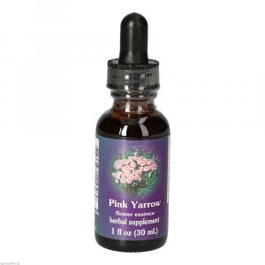PINK YARROW FES kalifornische Blütenessenz Tropfen