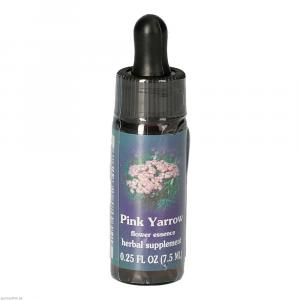 PINK YARROW FES kalifornische Blütenessenz Tropfen