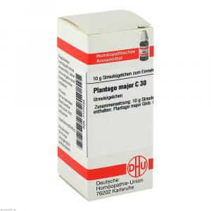 PLANTAGO MAJOR C 30 Globuli