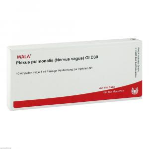PLEXUS PULMONALIS Nervus vagus GL D 30 Ampullen