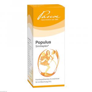 POPULUS SIMILIAPLEX