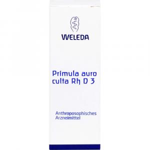 PRIMULA AURO culta RH D 3 Dilution