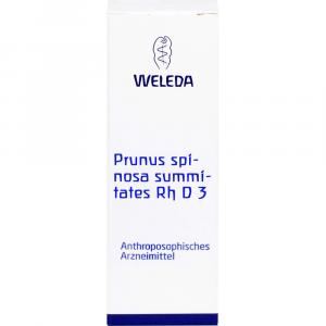 PRUNUS SPINOSA SUMMITATES Rh D 3 Dilution