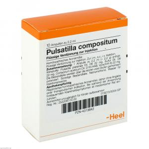 PULSATILLA COMPOSITUM Ampullen